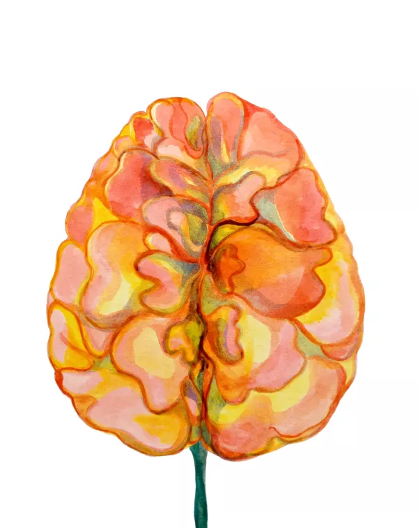 Mon cerveau est une fleur