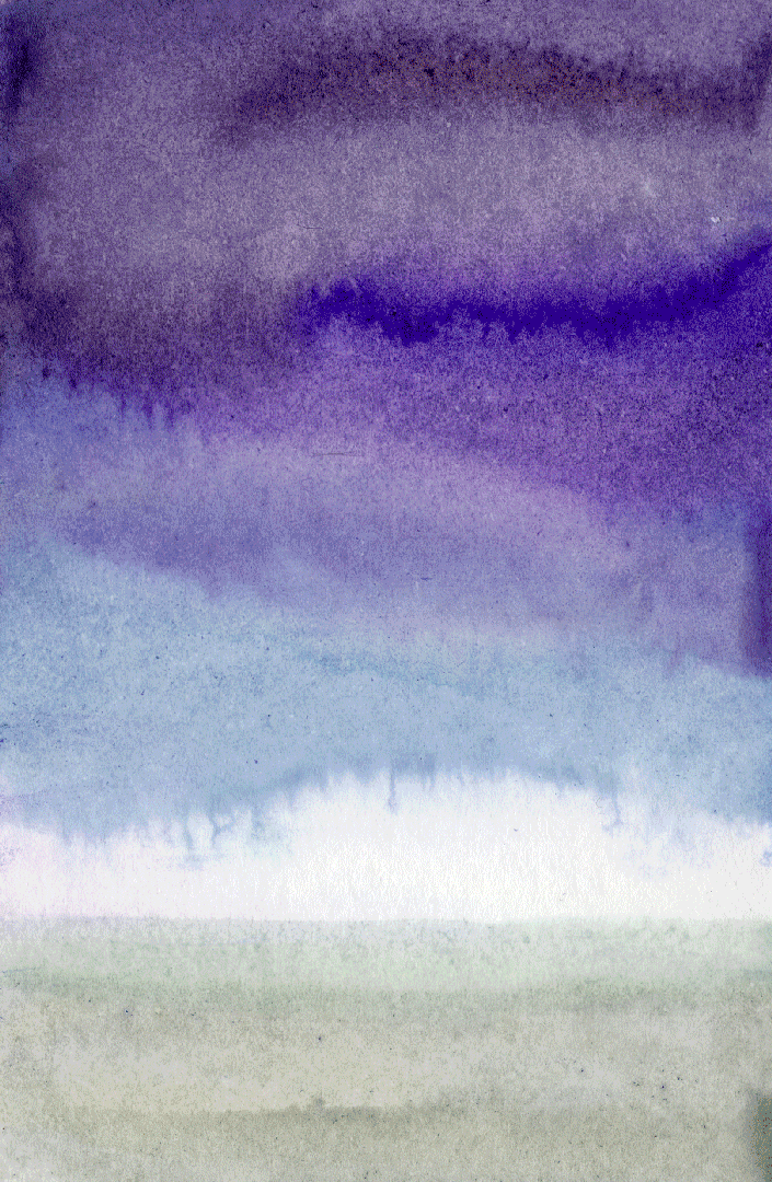 Paysage n°24