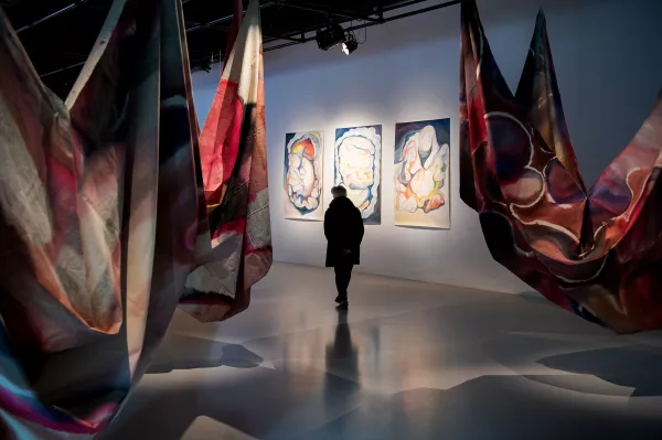Solo show, Pavillon Blanc Centre d’art